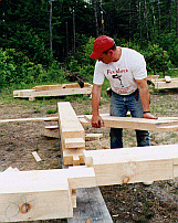 Fox Maple, Spring 1998