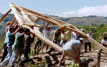 CRraising0308