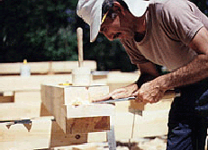 tenon paring Fox Maple