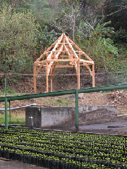 Wattle & Daub, Costa Rica 2001