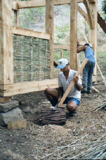 Wattle & Daub, Costa Rica 2001