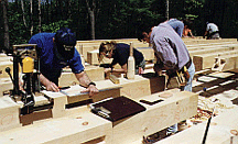 cutting timbers